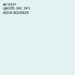 #E1F2F1 - Aqua Squeeze Color Image